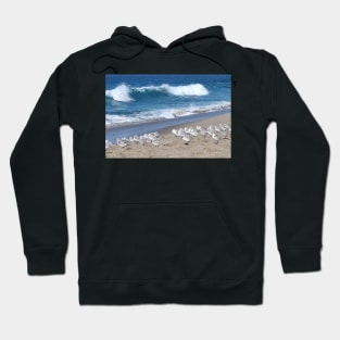 Pacific Ocean and Sanderlings Hoodie